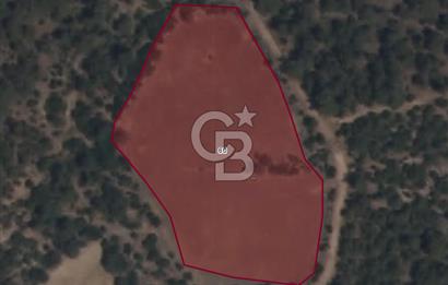EVONA GAYRİMENKULDEN MANİSA KARAKILIÇLI'DA 7.300 M2 TARLA