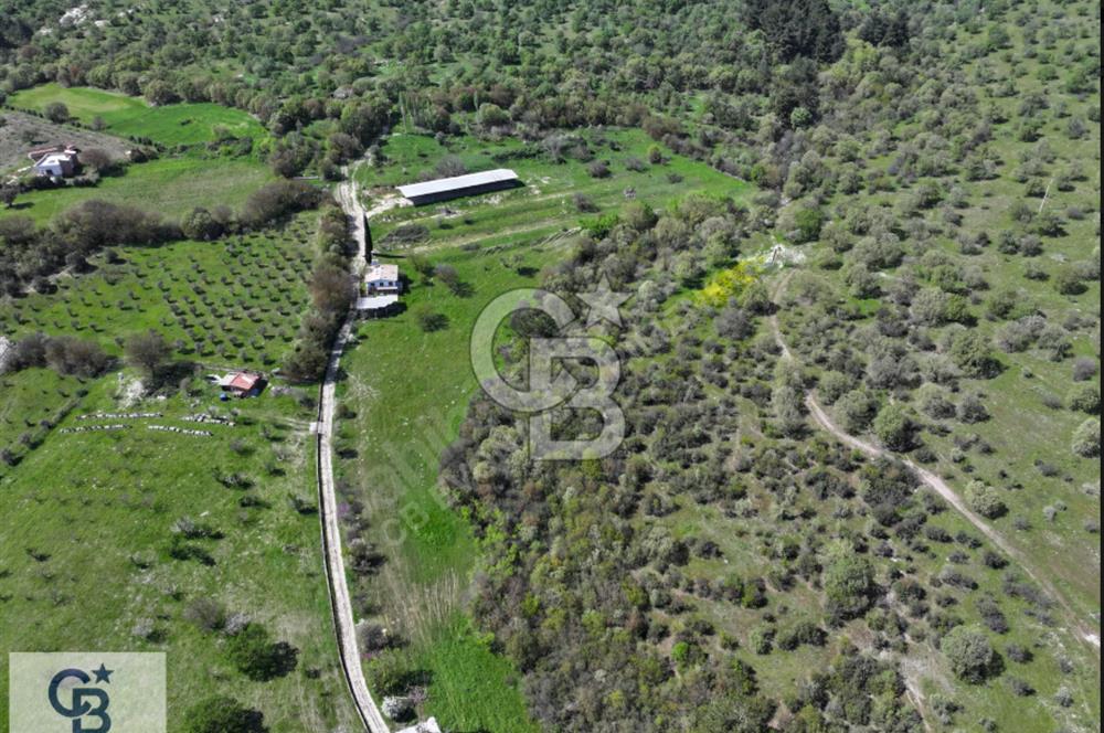 EVONA'DAN BAĞYOLUNDA GENİŞ METRAJLI 19.432 M² SATILIK ÇİFTLİK