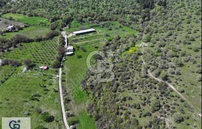 EVONA'DAN BAĞYOLUNDA GENİŞ METRAJLI 19.432 M² SATILIK ÇİFTLİK
