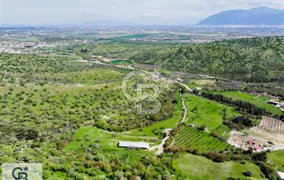 EVONA'DAN BAĞYOLUNDA GENİŞ METRAJLI 19.432 M² SATILIK ÇİFTLİK