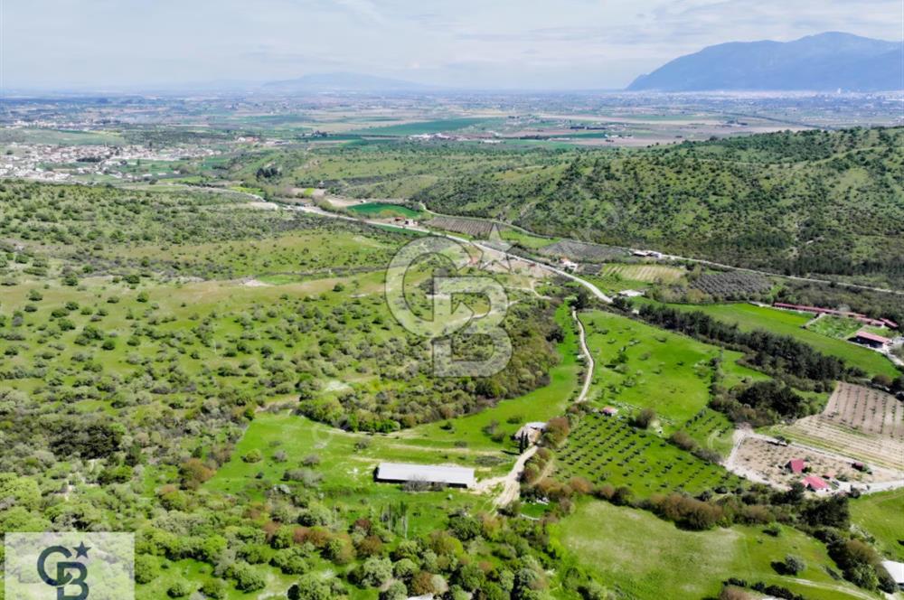 EVONA'DAN BAĞYOLUNDA GENİŞ METRAJLI 19.432 M² SATILIK ÇİFTLİK