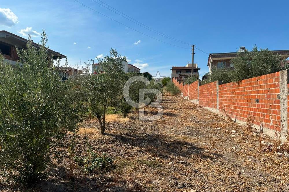 EVONADAN SARUHANLI DİLEK MH. TOPLAM 1100M2 ALAN İÇERİSİNDE 4+1