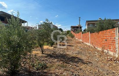 EVONADAN SARUHANLI DİLEK MH. TOPLAM 1100M2 ALAN İÇERİSİNDE 4+1