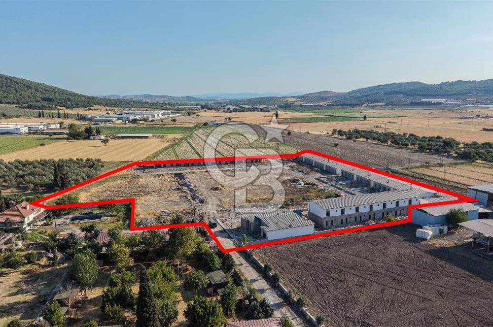 Foça Ilıpınar 2+1 Hobi Bahçeli Daire