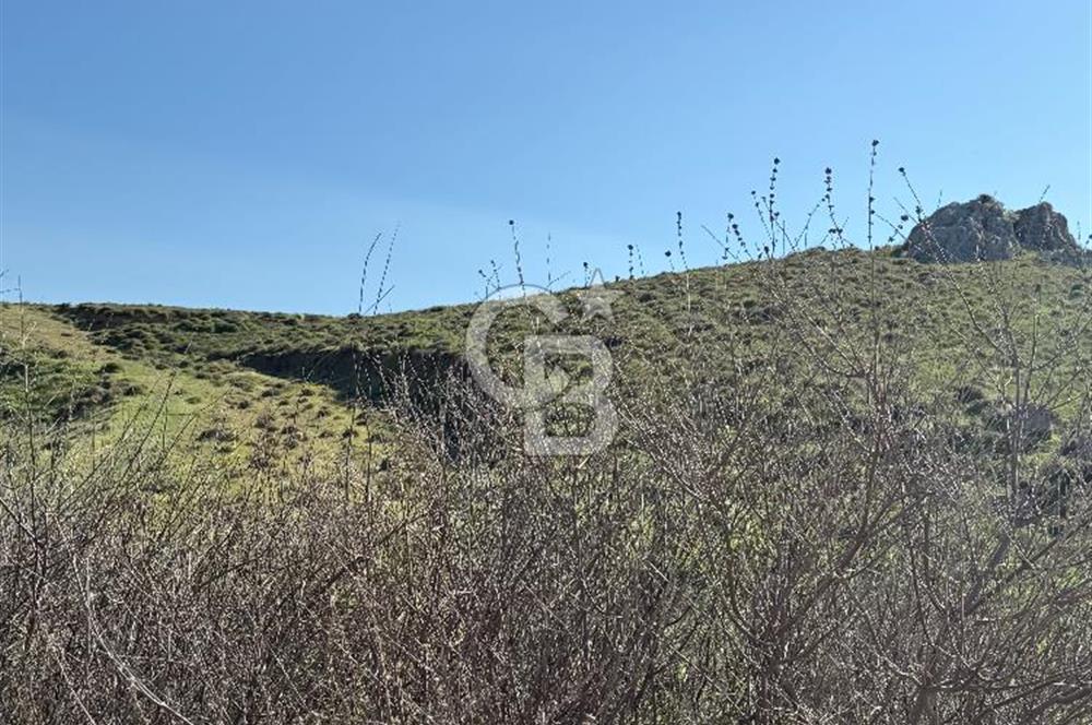 Çiğli Harmandalı İmara Yakın Arsa