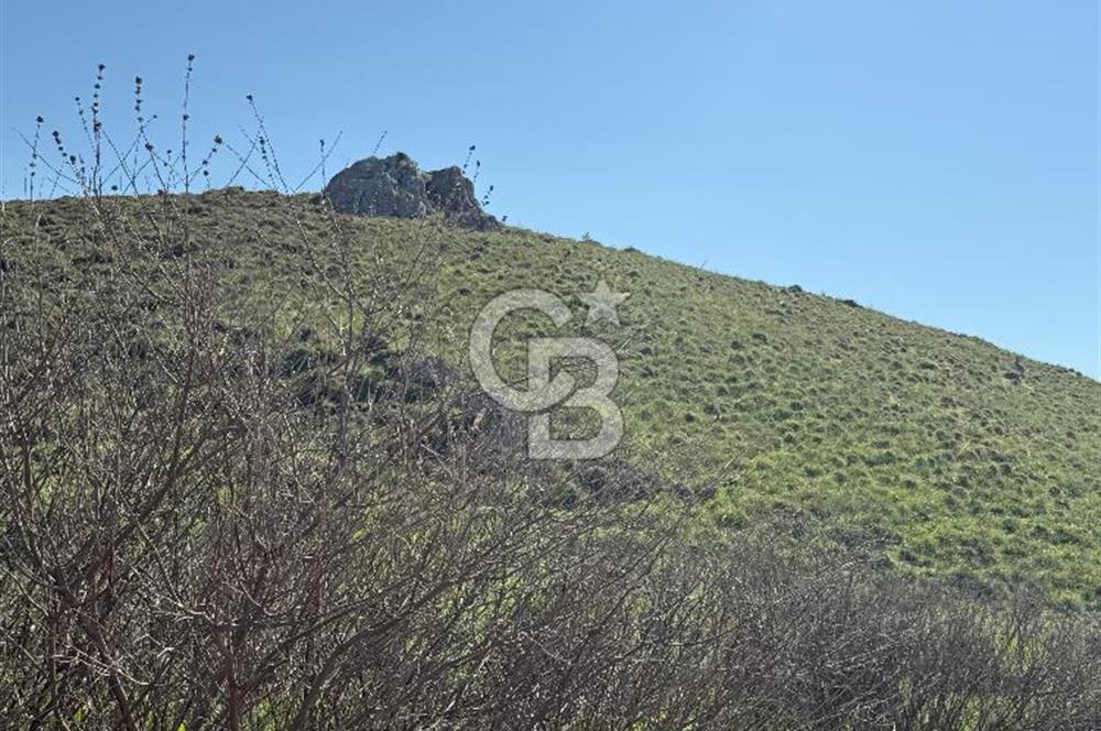 Çiğli Harmandalı İmara Yakın Arsa