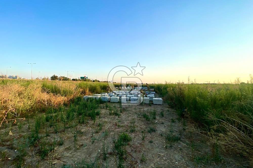Menemen 29 Ekim Mahallesi 19.501 m2 Satılık Tarla