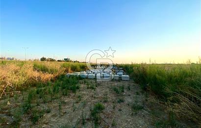 Menemen 29 Ekim Mahallesi 19.501 m2 Satılık Tarla