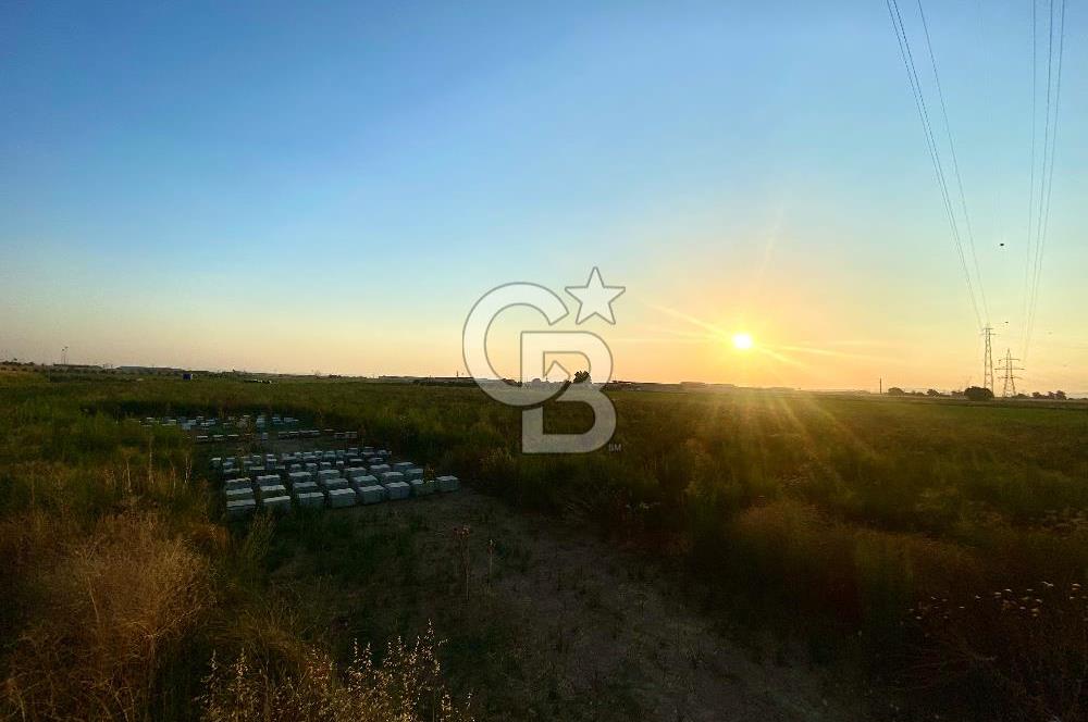 Menemen 29 Ekim Mahallesi 19.501 m2 Satılık Tarla