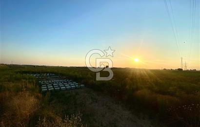 Menemen 29 Ekim Mahallesi 19.501 m2 Satılık Tarla