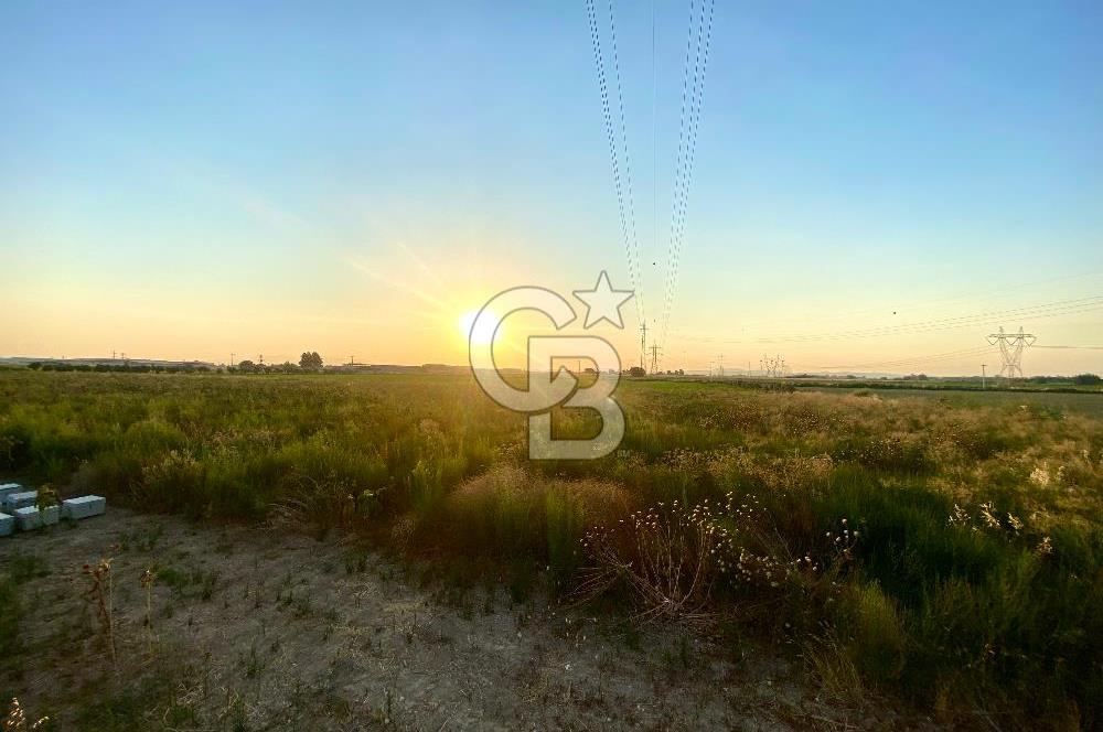 Menemen 29 Ekim Mahallesi 19.501 m2 Satılık Tarla
