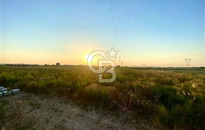Menemen 29 Ekim Mahallesi 19.501 m2 Satılık Tarla