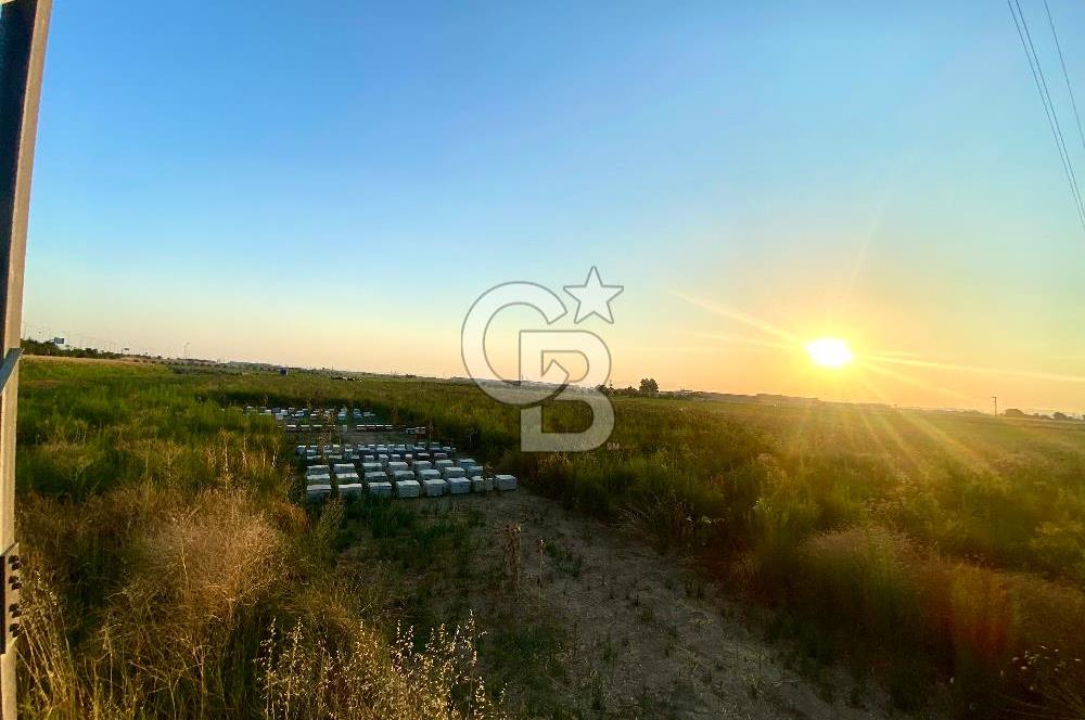 Menemen 29 Ekim Mahallesi 19.501 m2 Satılık Tarla