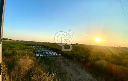 Menemen 29 Ekim Mahallesi 19.501 m2 Satılık Tarla