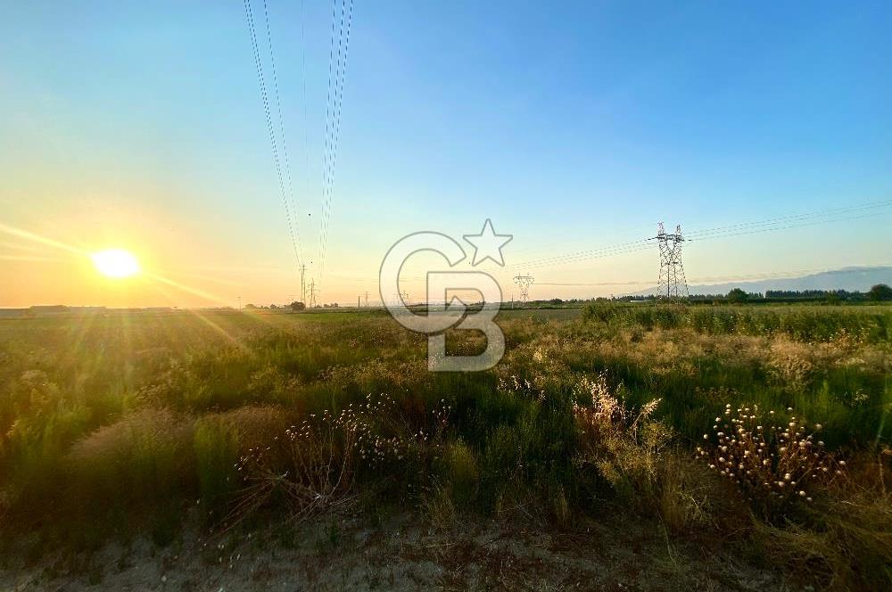 Menemen 29 Ekim Mahallesi 19.501 m2 Satılık Tarla