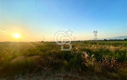 Menemen 29 Ekim Mahallesi 19.501 m2 Satılık Tarla