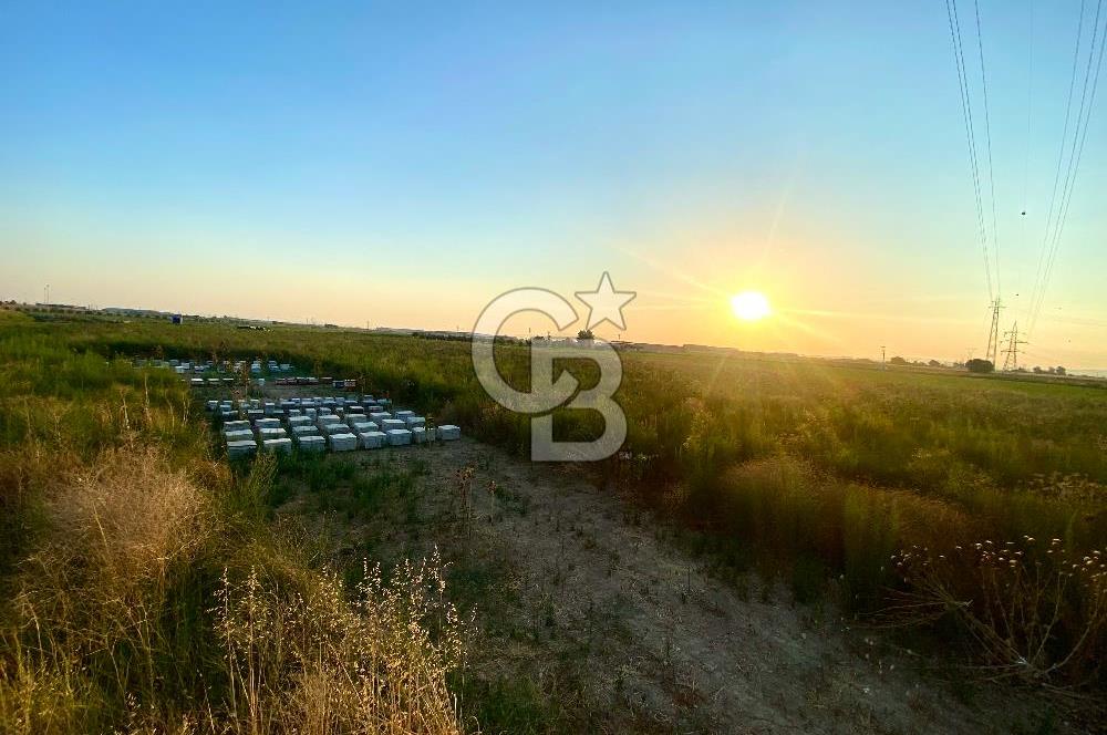 Menemen 29 Ekim Mahallesi 19.501 m2 Satılık Tarla