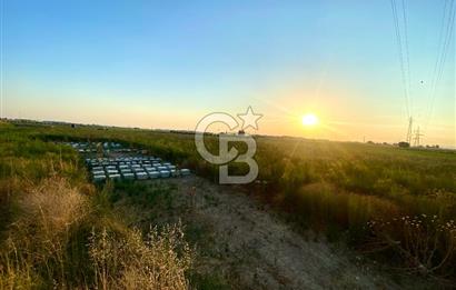 Menemen 29 Ekim Mahallesi 19.501 m2 Satılık Tarla