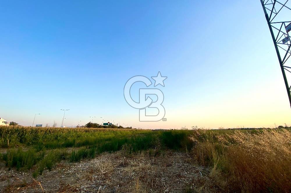 Menemen 29 Ekim Mahallesi 19.501 m2 Satılık Tarla
