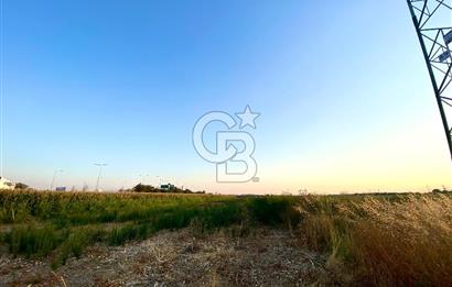 Menemen 29 Ekim Mahallesi 19.501 m2 Satılık Tarla