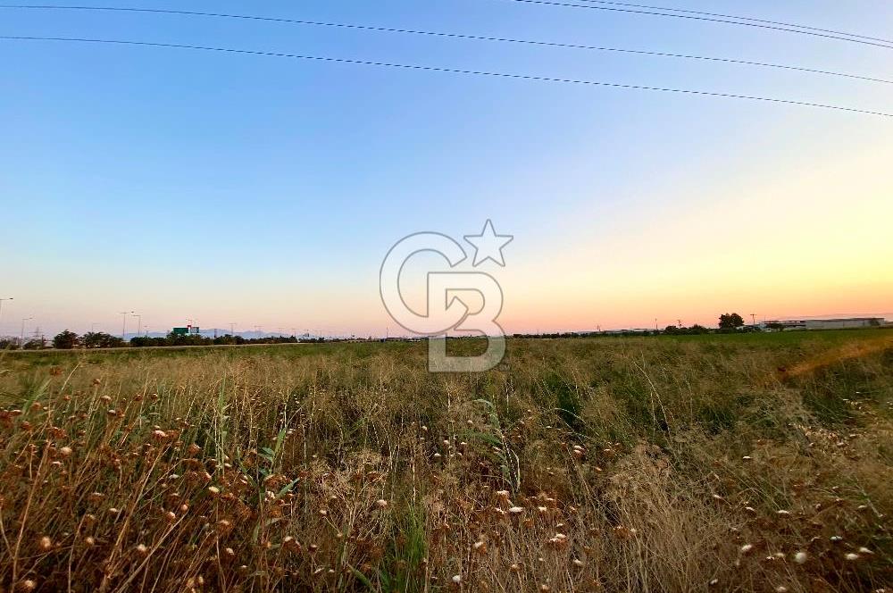 Menemen 29 Ekim Mahallesi 19.501 m2 Satılık Tarla