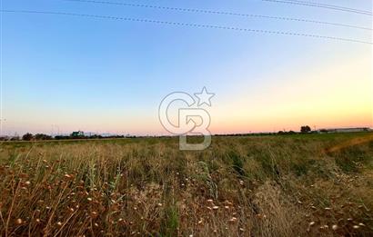 Menemen 29 Ekim Mahallesi 19.501 m2 Satılık Tarla