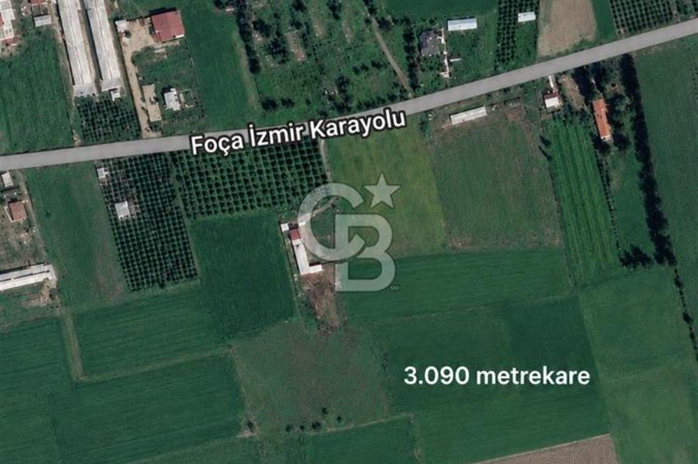 İzmir Foça'da Satılık Tarla