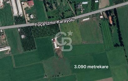 İzmir Foça'da Satılık Tarla