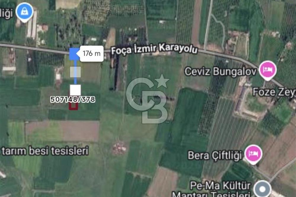 İzmir Foça'da Satılık Tarla