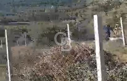 İzmir Torbalı Çapak Satılık Yatırımlık Tarla