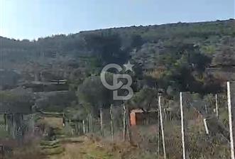 İzmir Torbalı Çapak Satılık Yatırımlık Tarla - 1 - 365875
