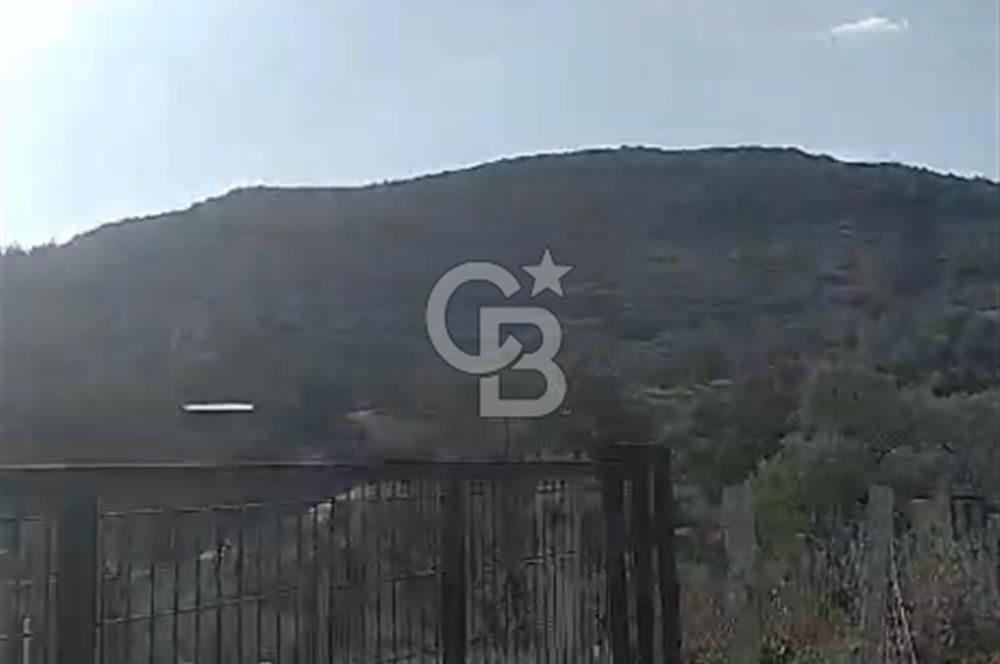 İzmir Torbalı Çapak Satılık Yatırımlık Tarla
