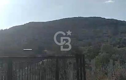 İzmir Torbalı Çapak Satılık Yatırımlık Tarla
