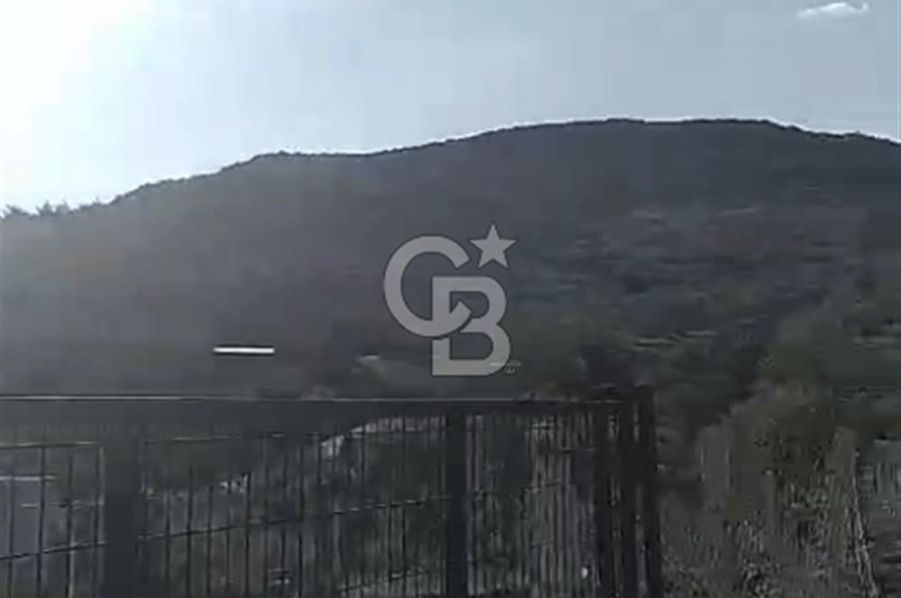 İzmir Torbalı Çapak Satılık Yatırımlık Tarla