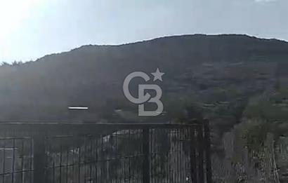 İzmir Torbalı Çapak Satılık Yatırımlık Tarla