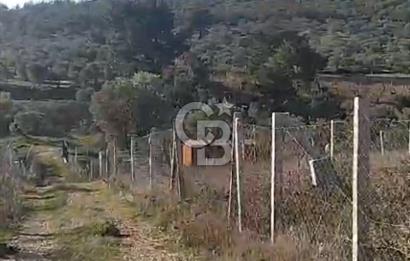 İzmir Torbalı Çapak Satılık Yatırımlık Tarla