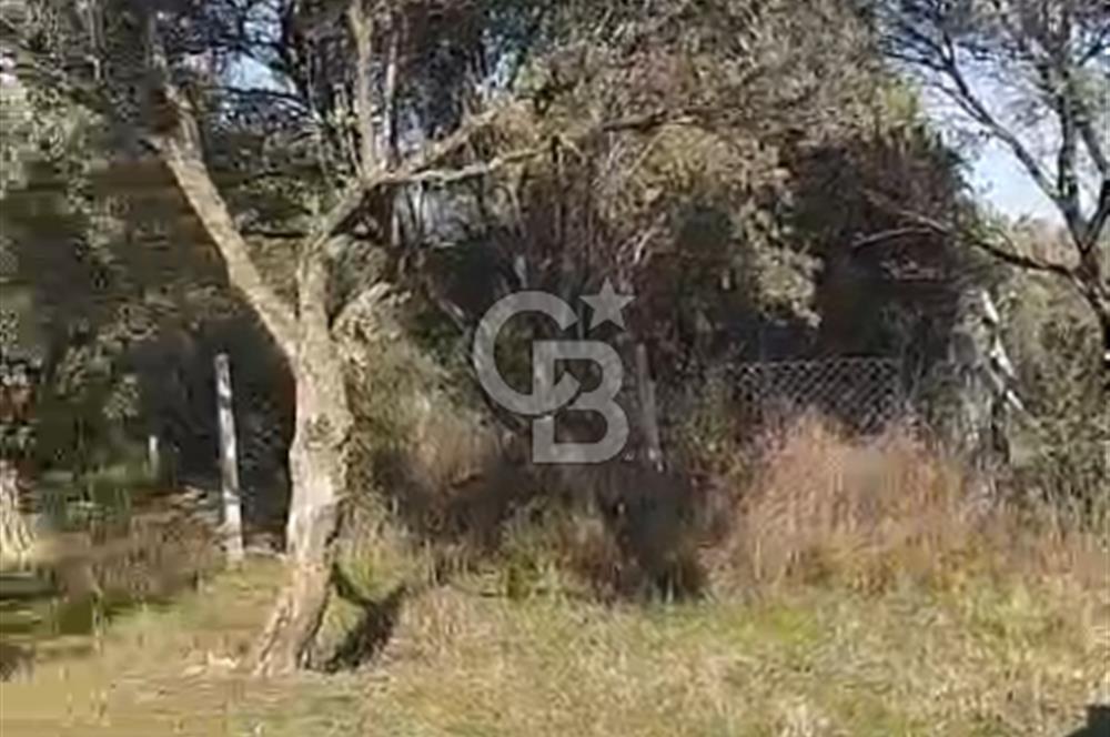 İzmir Torbalı Çapak Satılık Yatırımlık Tarla