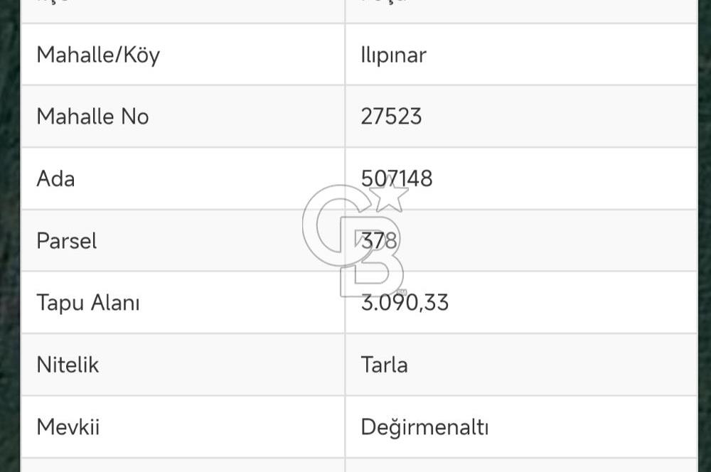 İzmir Foça'da Satılık Tarla