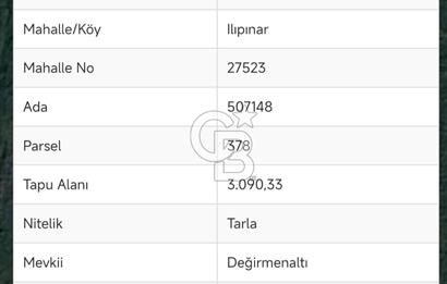 İzmir Foça'da Satılık Tarla