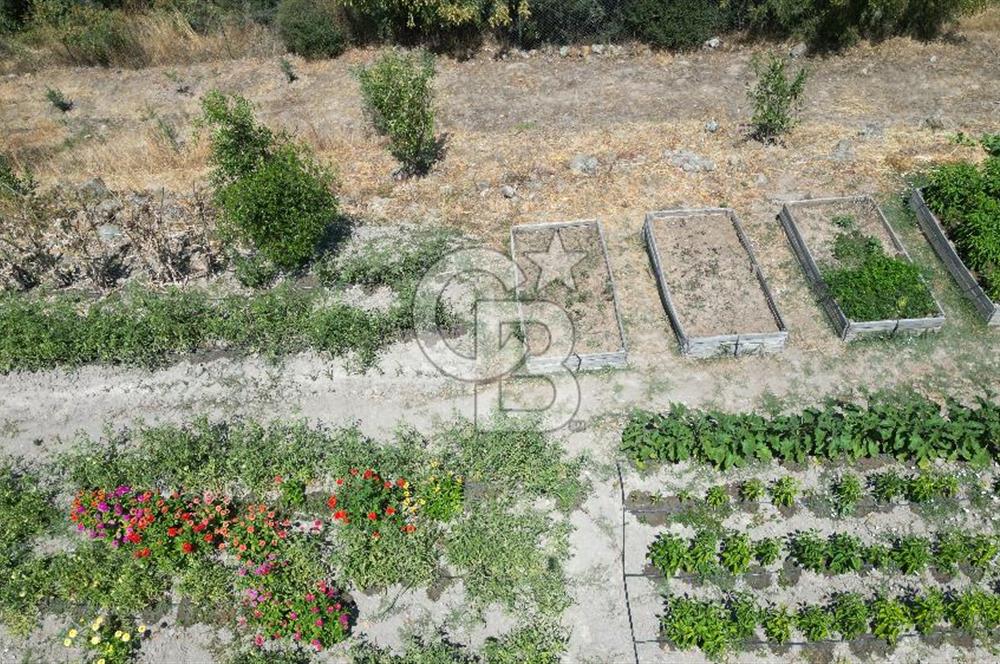 ÇANAKKALE MERKEZ TERZİLER KÖYÜNDE SATILIK ÖZEL HOBİ BAHÇESİ !!!