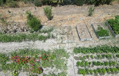 ÇANAKKALE MERKEZ TERZİLER KÖYÜNDE SATILIK ÖZEL HOBİ BAHÇESİ !!!