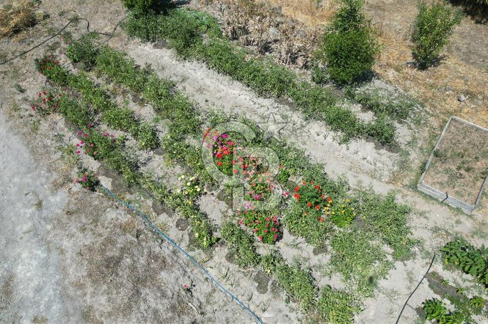 ÇANAKKALE MERKEZ TERZİLER KÖYÜNDE SATILIK ÖZEL HOBİ BAHÇESİ !!!
