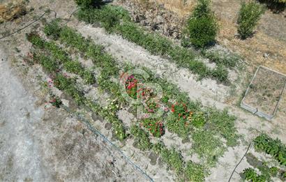 ÇANAKKALE MERKEZ TERZİLER KÖYÜNDE SATILIK ÖZEL HOBİ BAHÇESİ !!!