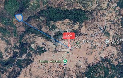 AYVACIK PAŞAKÖY'DE 11.964 M2 SATILIK VERİMLİ FIRSAT ZEYTİNLİK !!
