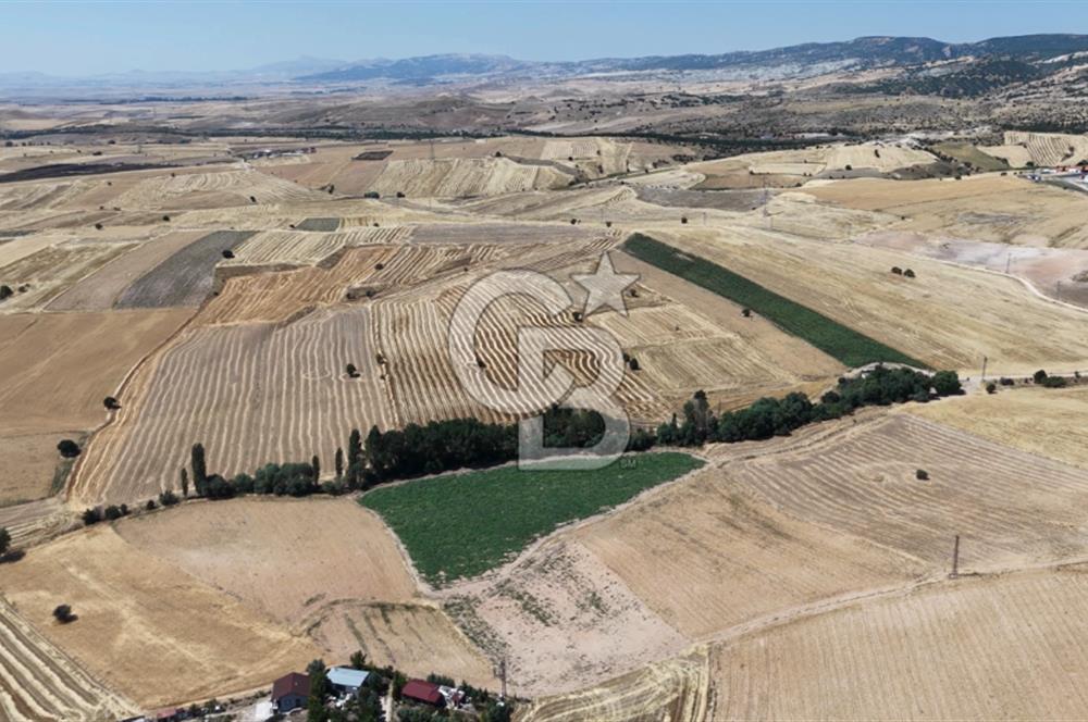 ANKARA KAHRAMANKAZAN KARALAR KIŞLACIK MEVKİİ SATILIK TARLA