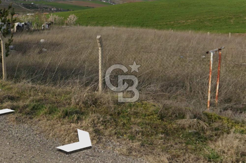 HAVALİMANI & MERKEZE YAKIN KÖSRELİKKIZIĞINDA SATILIK TARLA