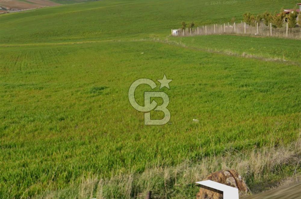 HAVALİMANI & MERKEZE YAKIN KÖSRELİKKIZIĞINDA SATILIK TARLA