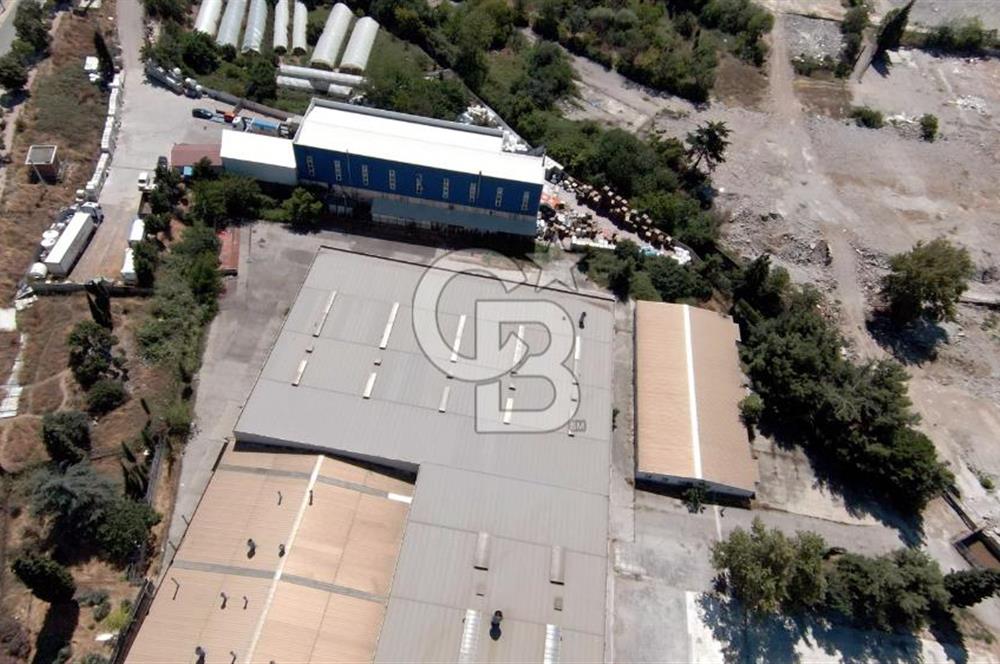 Gebze D-100 Üzerinde 16.330 m² Müstakil Parsel'de Üretim Tesisi