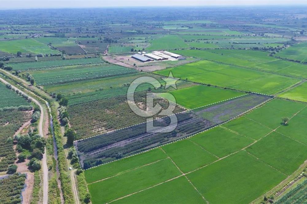 Çarşamba'da Tek Tapu Satılık Tarla