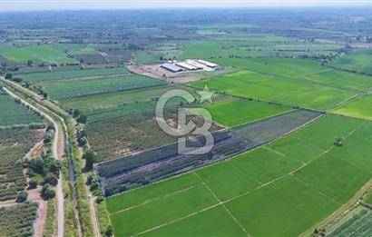 Çarşamba'da Tek Tapu Satılık Tarla
